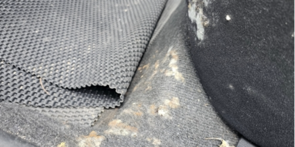 A guide to cleaning mould off car seats